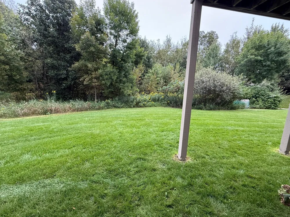 16601 50th Court Plymouth, MN 55446