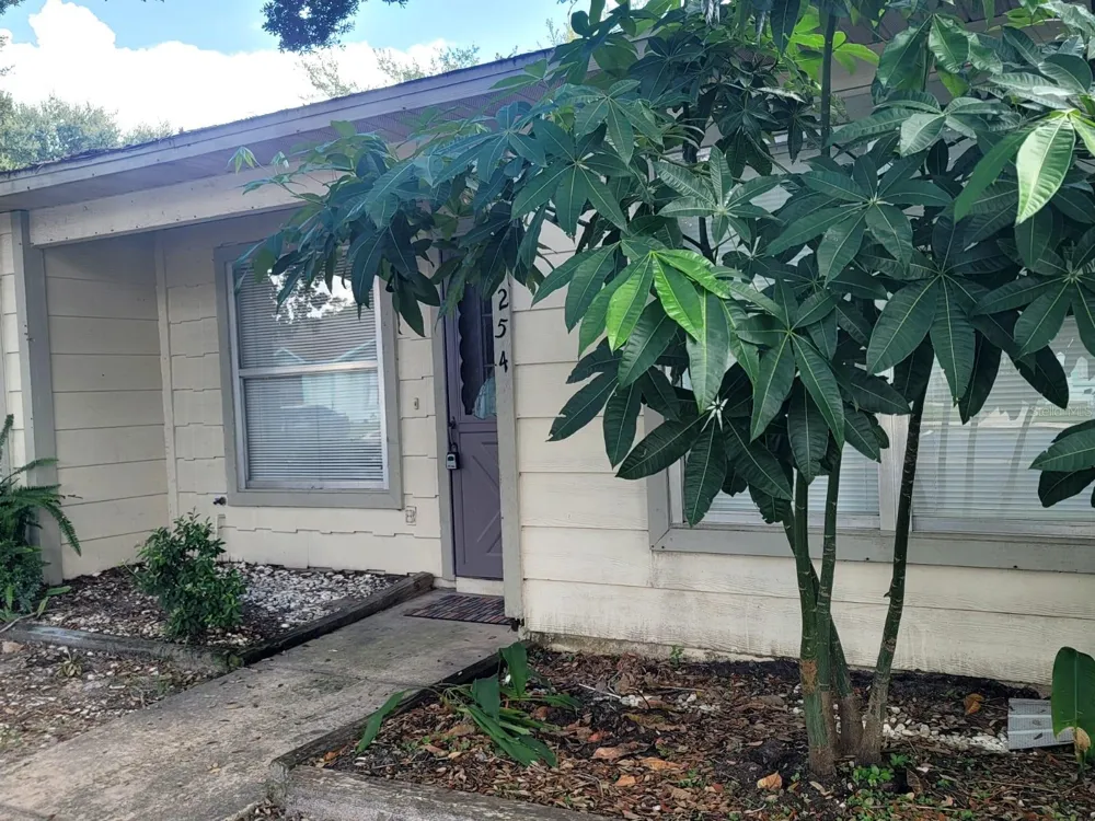 3254 CHESSWOOD AVENUE Kissimmee, FL 34741