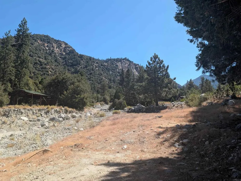 island dr Forest Falls, CA 92339