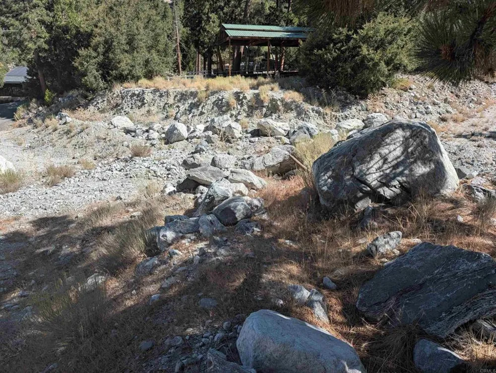 island dr Forest Falls, CA 92339