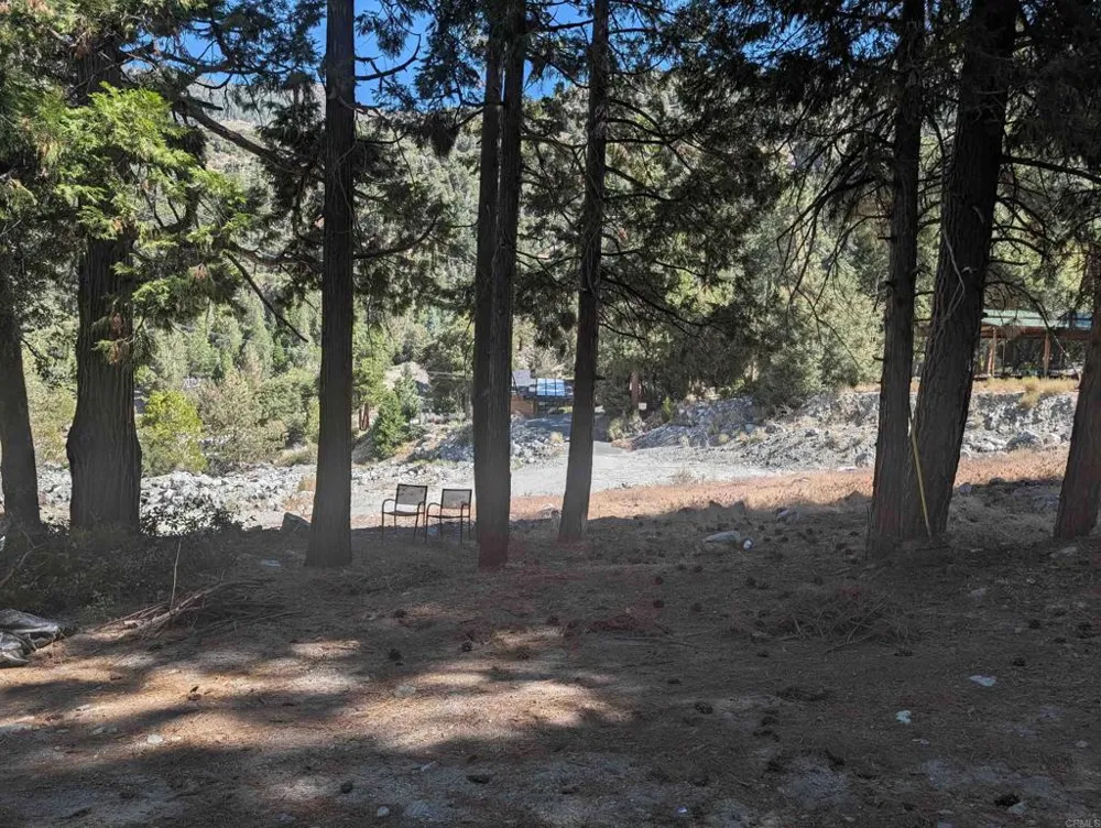 island dr Forest Falls, CA 92339
