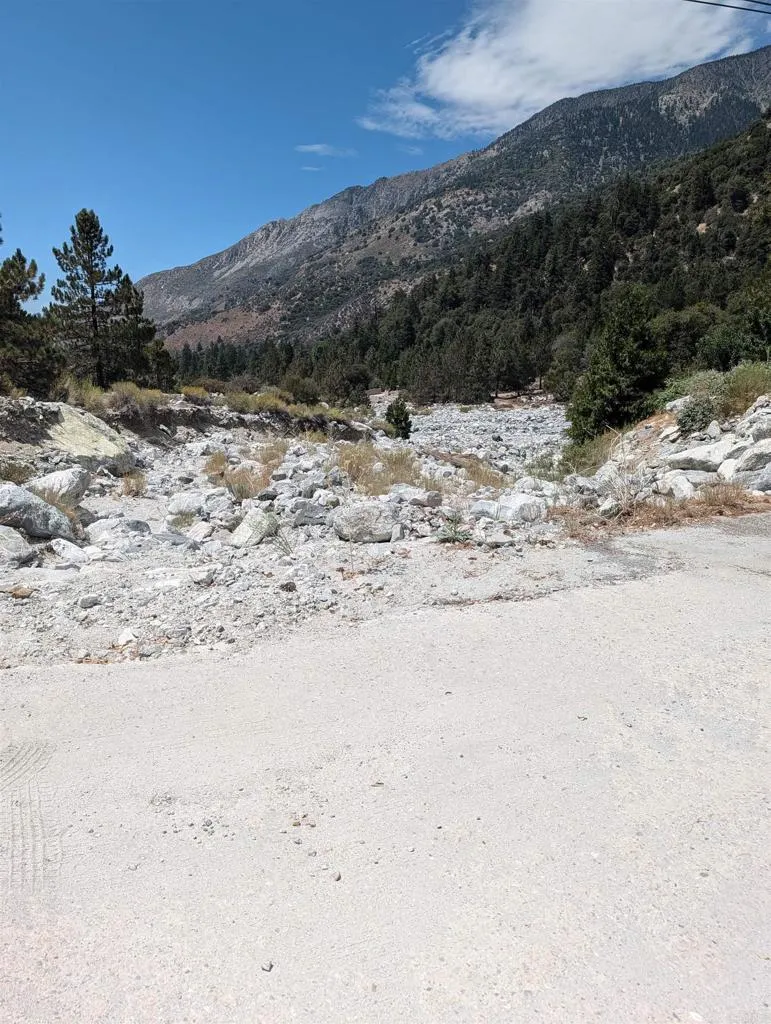 island dr Forest Falls, CA 92339