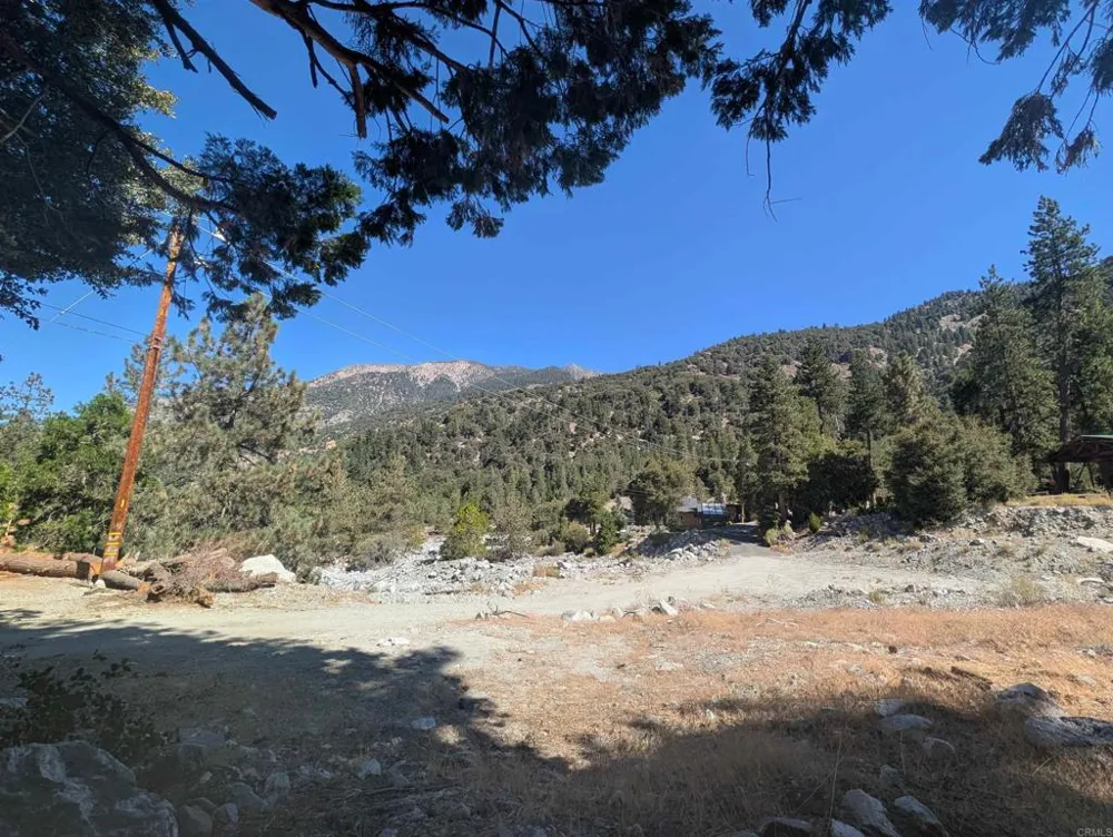 island dr Forest Falls, CA 92339