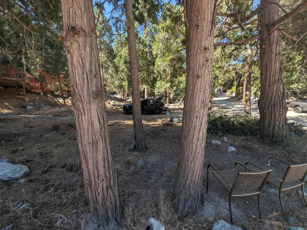 island dr Forest Falls, CA 92339