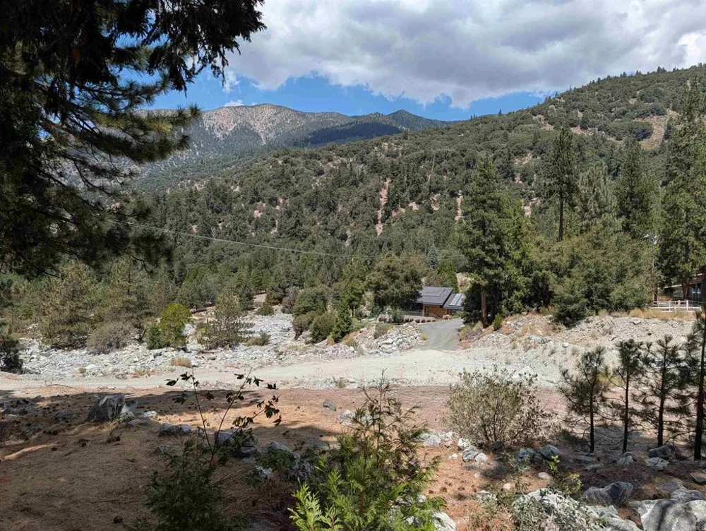 island dr Forest Falls, CA 92339