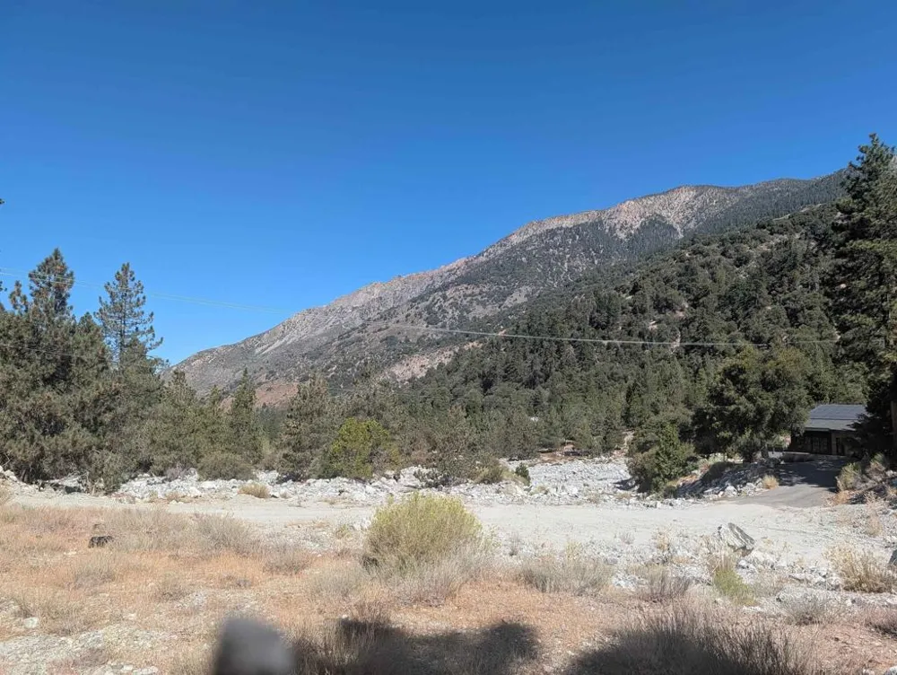 island dr Forest Falls, CA 92339