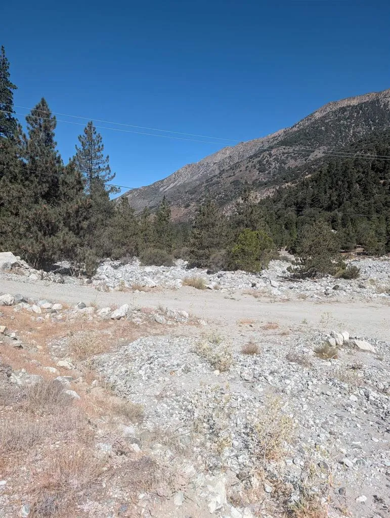 island dr Forest Falls, CA 92339