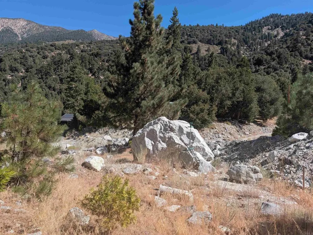island dr Forest Falls, CA 92339