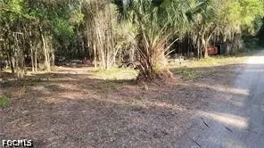  Deland, FL 32720