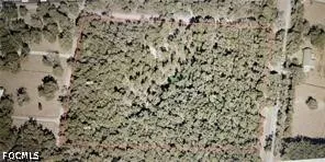  Deland, FL 32720