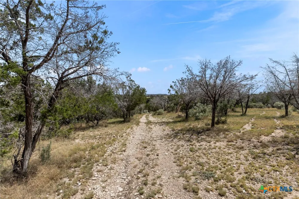 1919 KC 3151 Junction, TX 76849