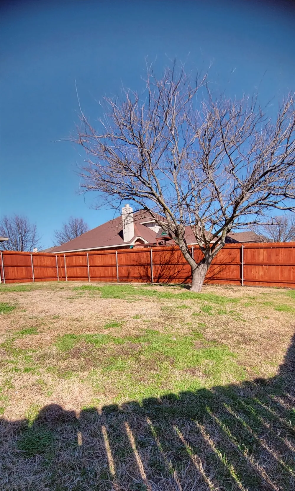 5598 Carrington Drive Richardson, TX 75082