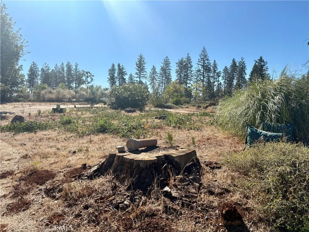 5970 Sawmill Road Paradise, CA 95969
