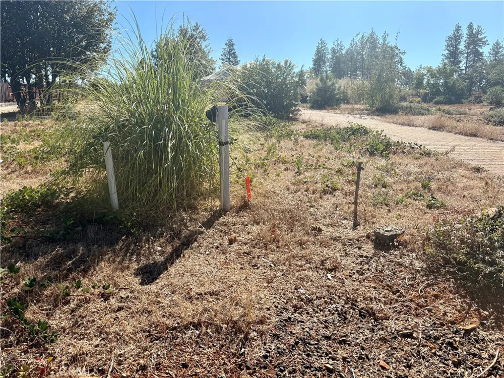 5970 Sawmill Road Paradise, CA 95969
