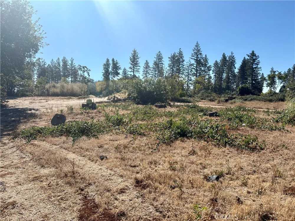 5970 Sawmill Road Paradise, CA 95969