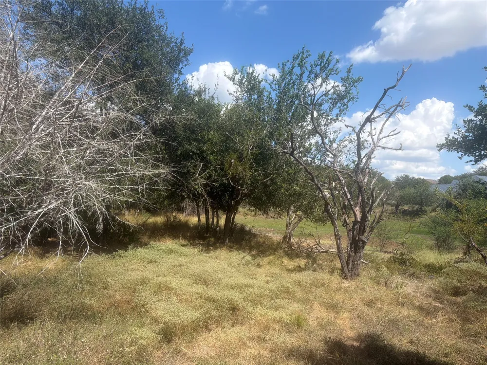 327 Mill Run New Braunfels, TX 78132
