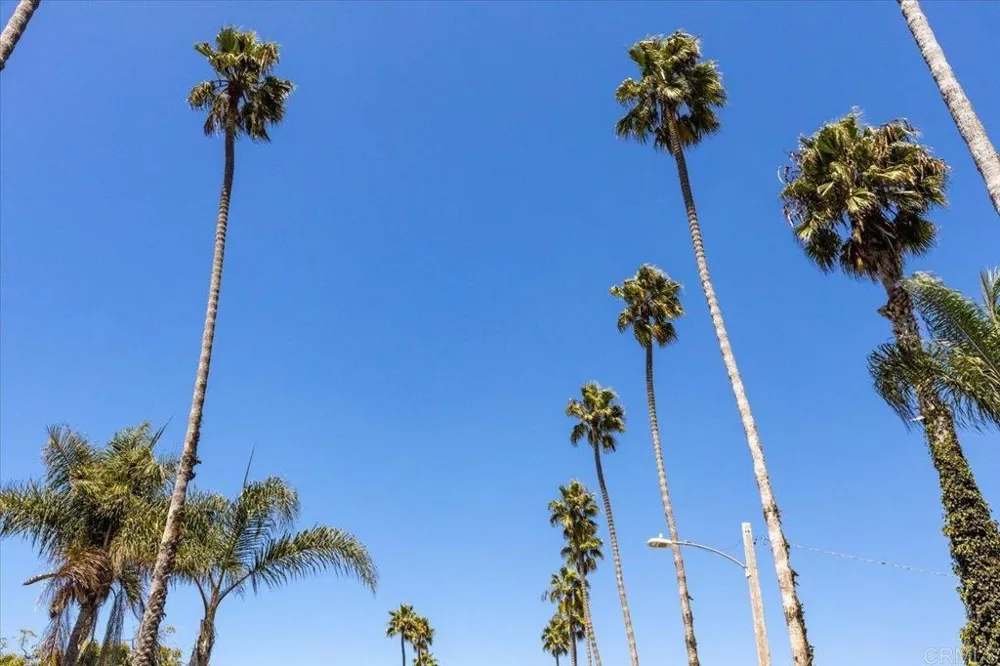 1923 S Tremont Street Oceanside, CA 92054