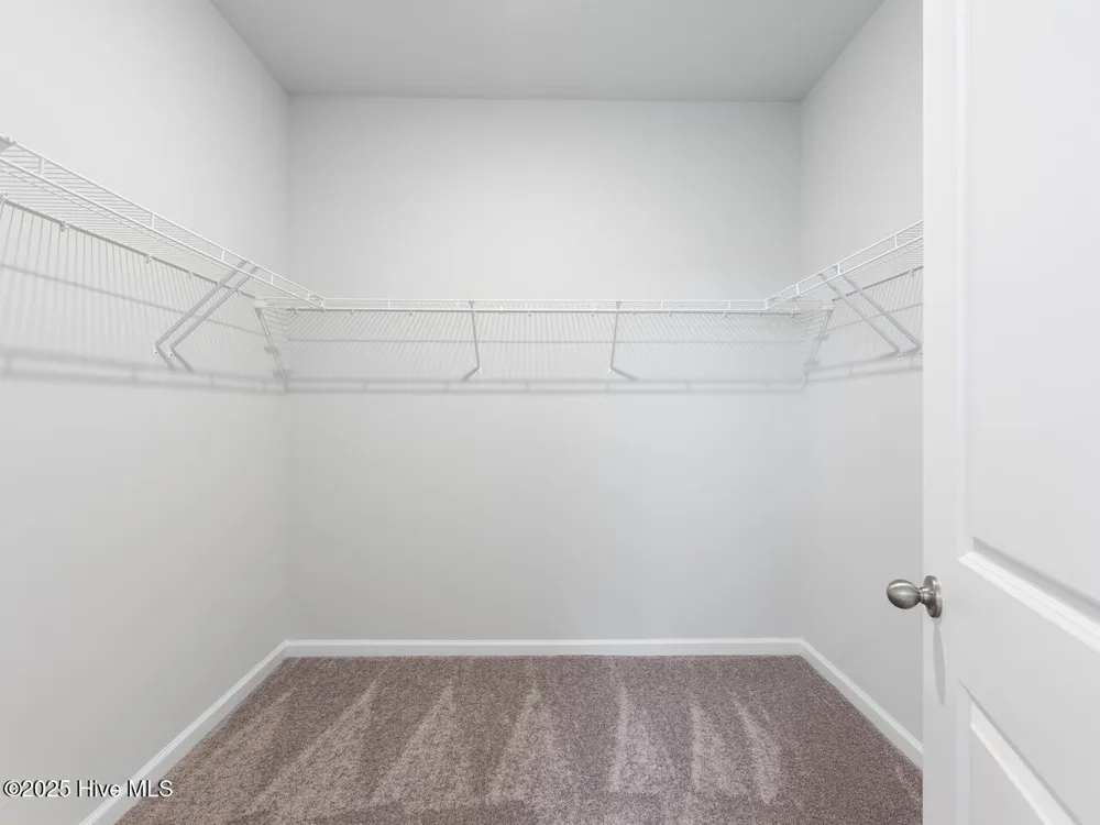 3225 Butterfly Ginger Street #Lot 73 Leland, NC 28451