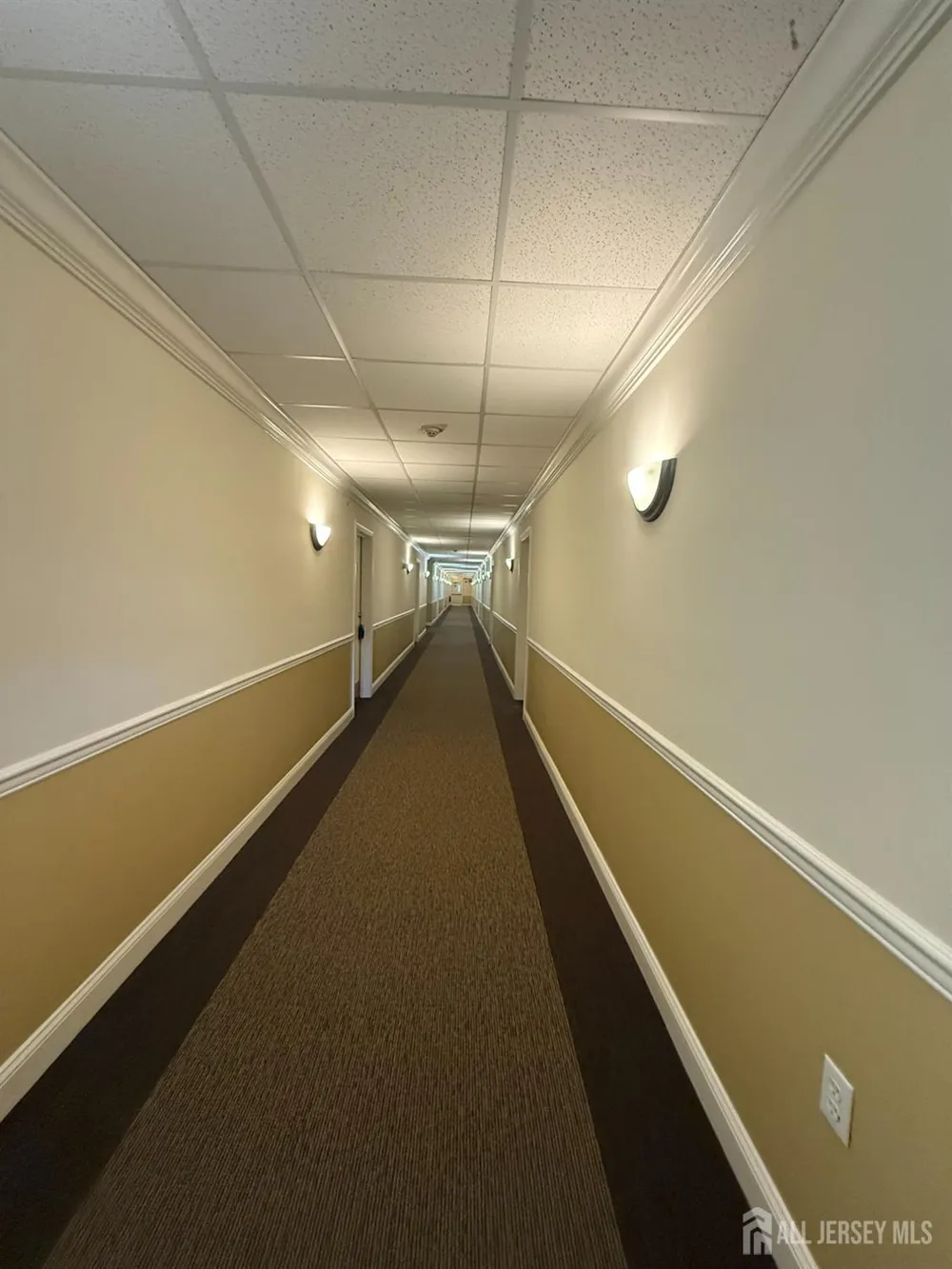 31 Liddle Avenue Edison, NJ 08837