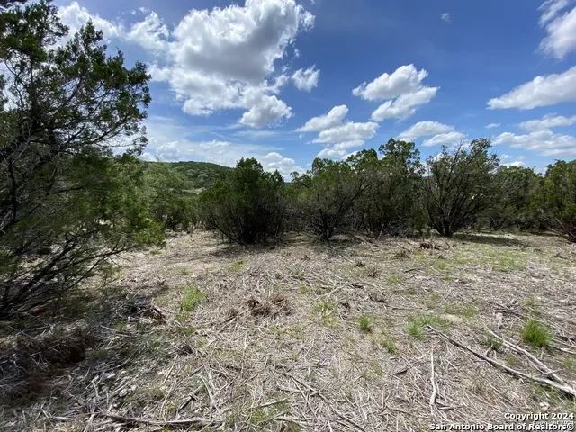 391 PR 1748 Lot 391 Mico, TX 78056