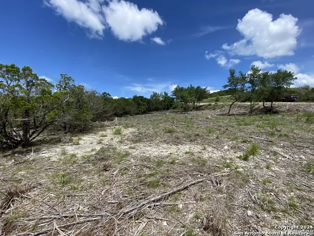 391 PR 1748 Lot 391 Mico, TX 78056