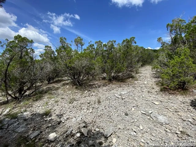 391 PR 1748 Lot 391 Mico, TX 78056
