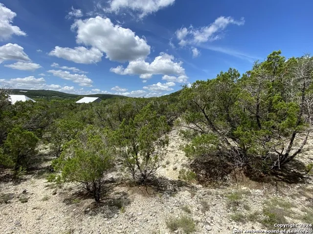 391 PR 1748 Lot 391 Mico, TX 78056