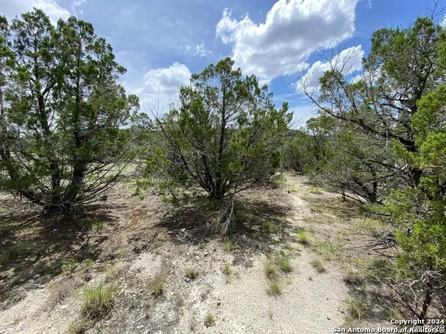 391 PR 1748 Lot 391 Mico, TX 78056