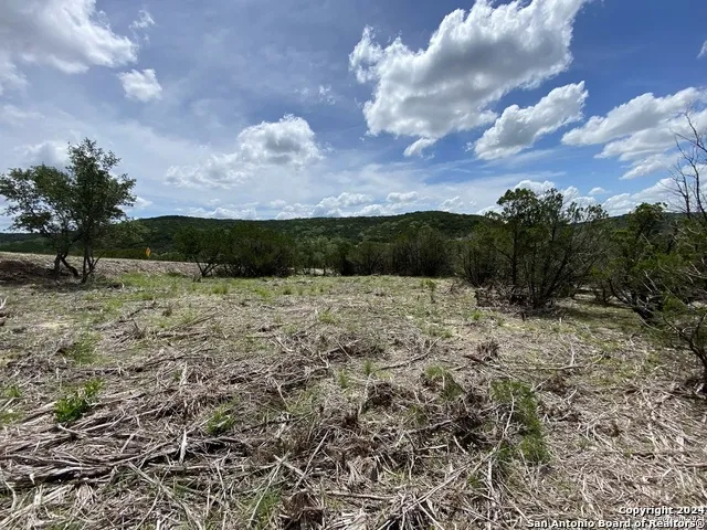391 PR 1748 Lot 391 Mico, TX 78056