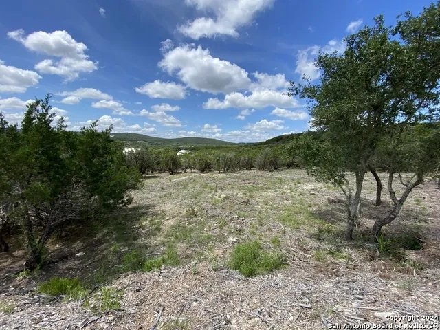 391 PR 1748 Lot 391 Mico, TX 78056