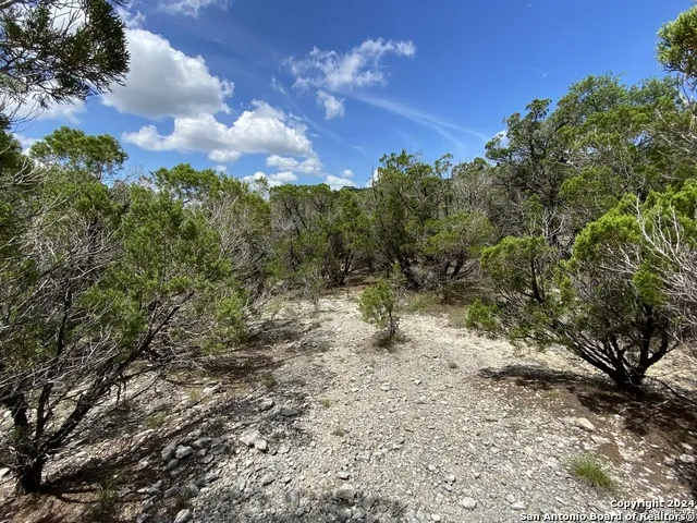 391 PR 1748 Lot 391 Mico, TX 78056