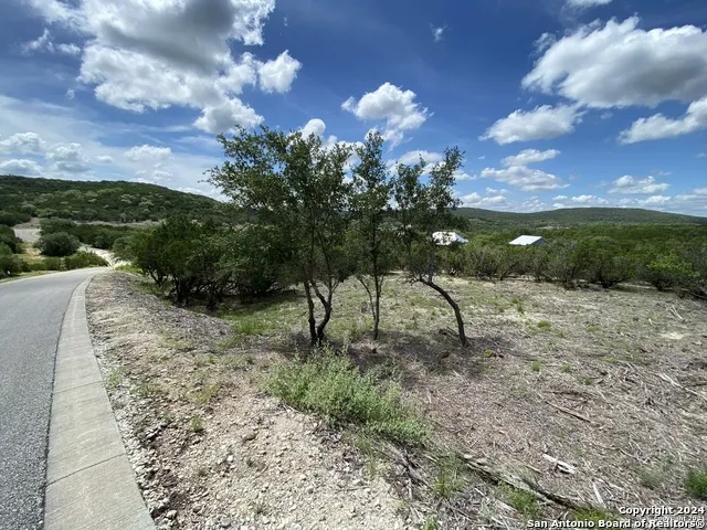 391 PR 1748 Lot 391 Mico, TX 78056