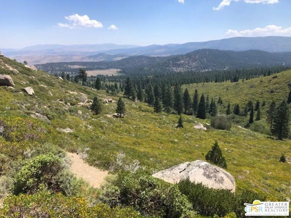 Ditch Rd Markleeville, CA 96120