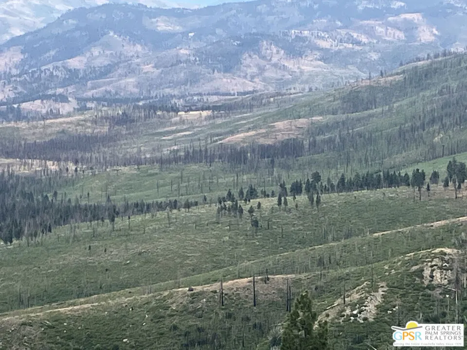 Ditch Rd Markleeville, CA 96120
