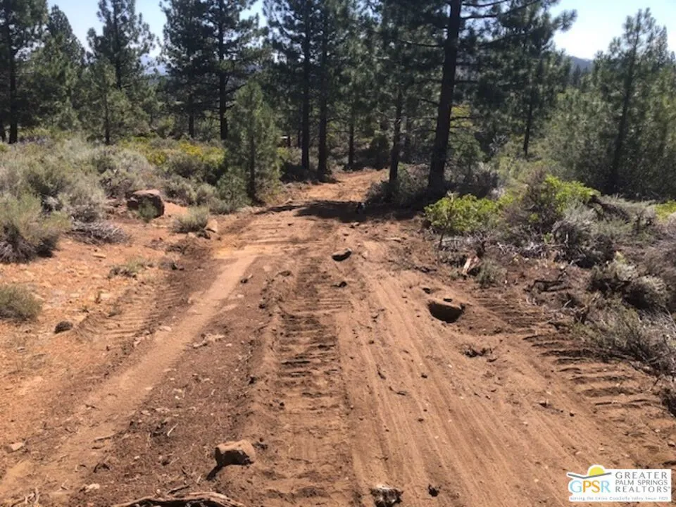 Ditch Rd Markleeville, CA 96120