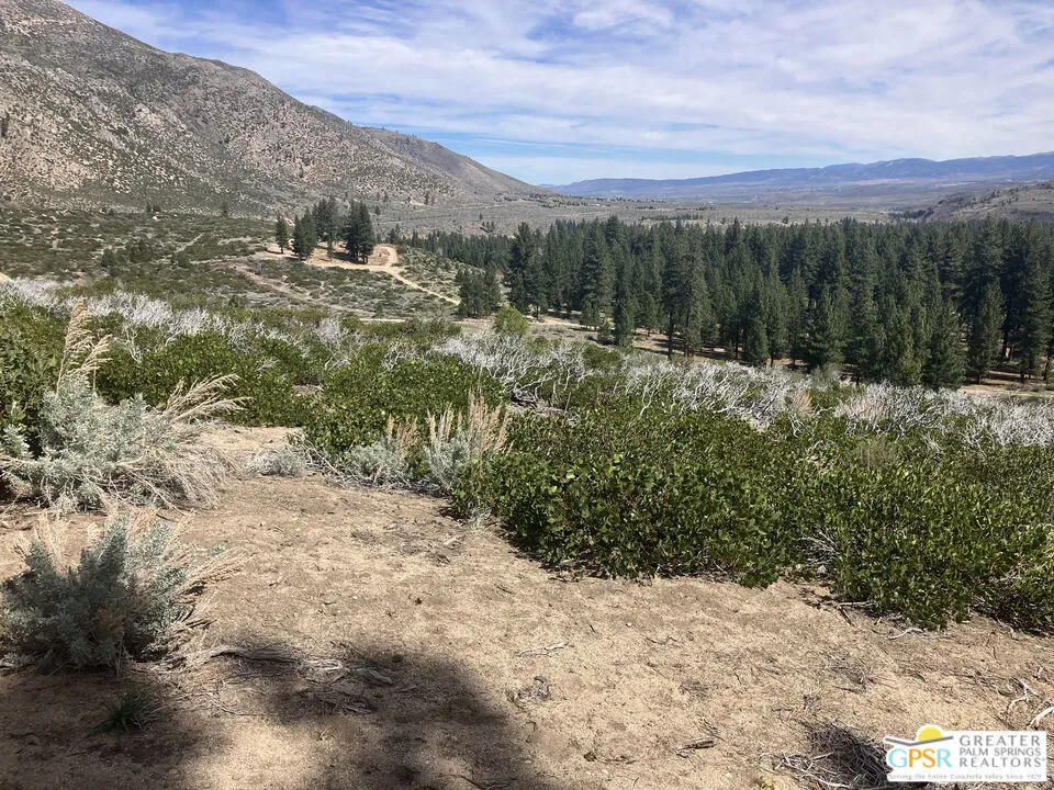 Ditch Rd Markleeville, CA 96120