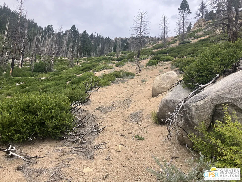 Ditch Rd Markleeville, CA 96120