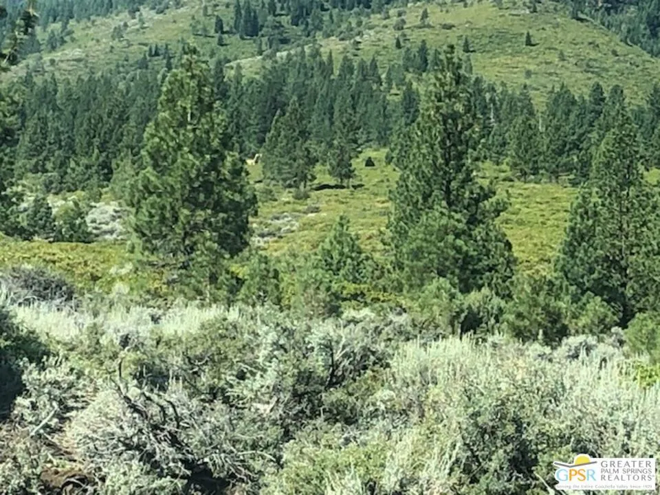 Ditch Rd Markleeville, CA 96120