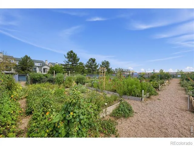 2086 Concord Lane Superior, CO 80027