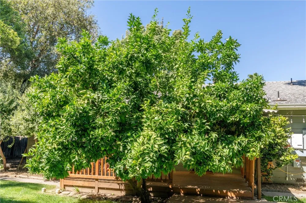 42 Oak Chico, CA 95926