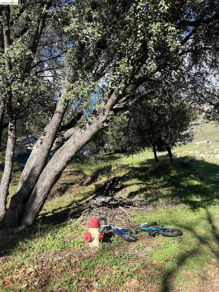 Creekside Drive Sonora, CA 95370