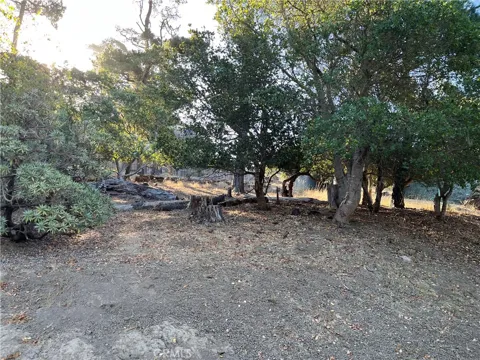 1670 Burton Drive