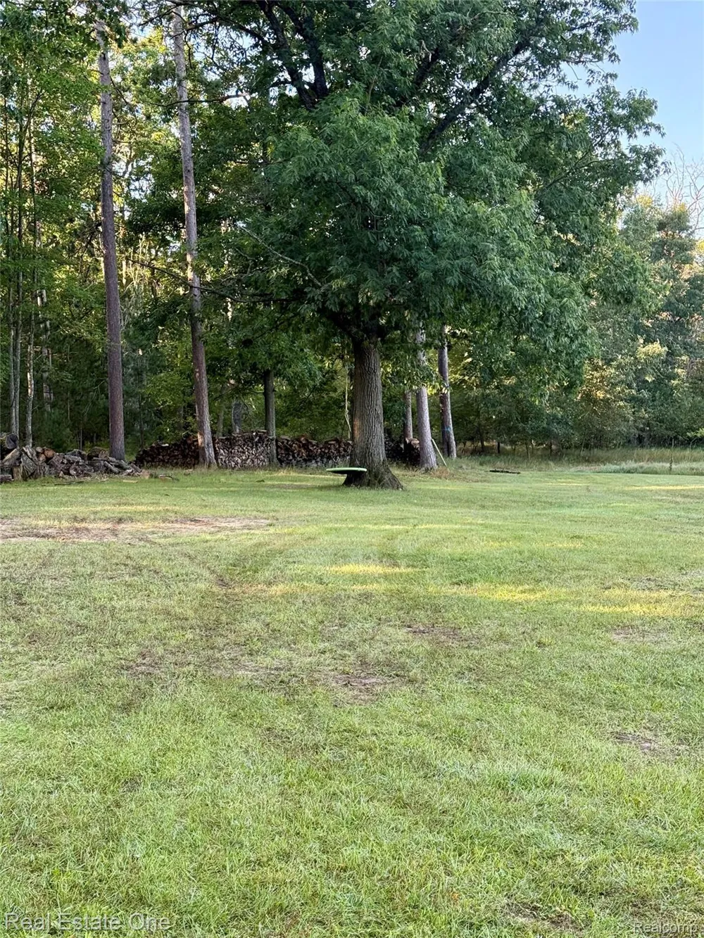5608 Butler Road Backus Township, MI 48656