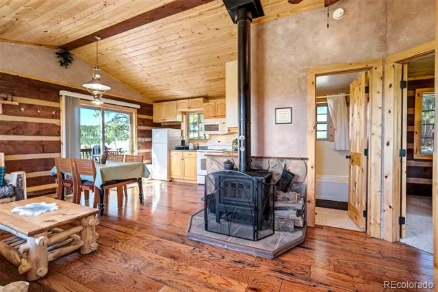 189 Saddle Lane Lake George, CO 80827