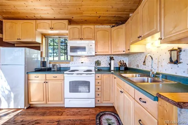 189 Saddle Lane Lake George, CO 80827