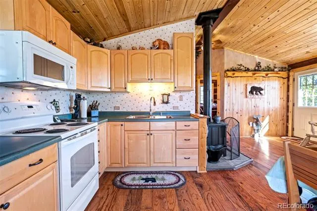 189 Saddle Lane Lake George, CO 80827