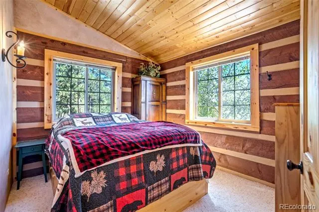 189 Saddle Lane Lake George, CO 80827