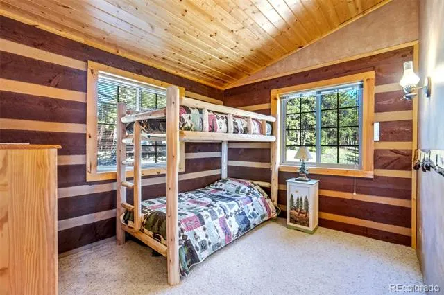 189 Saddle Lane Lake George, CO 80827