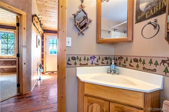 189 Saddle Lane Lake George, CO 80827