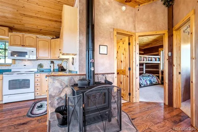 189 Saddle Lane Lake George, CO 80827